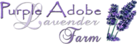 Purple Adobe Lavender Farm