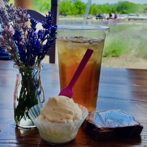 Guest Blog: A Summer Visit to Purple Adobe Lavender Farm