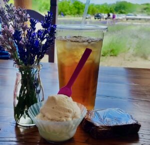 Guest Blog: A Summer Visit to Purple Adobe Lavender Farm
